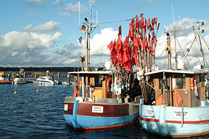 Fischkutter in Barhöft