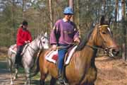 Reiter im Darßwald