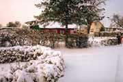 Born im Schnee
