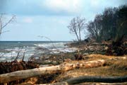 Landschaft am Weststrand